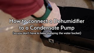 Connecting a Dehumidifier to a Condensate Pump so you dont have to keep dumping the bucket [upl. by Anekahs93]