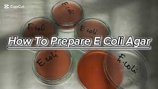 PREPARATION OF ESCHERICHIA COLI  Ecoli AGAR [upl. by Enirbas977]