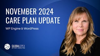 Website Maintenance Updates  WordPress amp WPEngine  November 2024 [upl. by Bledsoe595]