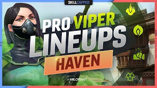 The BEST PRO VIPER LINEUPS SPOTS amp SETUPS For HAVEN  Valorant Tips Tricks and Guides [upl. by Amora940]