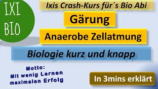 Gärung in 3mins erklärt  Biologie kurz und knapp  anaerobe Zellatmung Vorbereitung Biologie Abitur [upl. by Adore365]