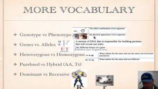 Genetics Vocabulary Tutorial [upl. by Auhsej692]