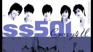 a2Singalong quotCrazy 4 Uquot SS501 Easy Rom Lyrics [upl. by Vaish]