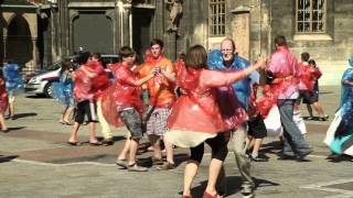 Rudolf Steiner  Eurythmie Flashmob MAK Wien 2011 [upl. by Selim]