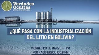 ¿Qué pasa con la industrialización del litio en Bolivia [upl. by Lasyrc621]