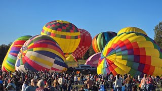 Balloon Festival 2024 [upl. by Negem]