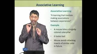 Associative Learning  Animal Physiology and Behavior Theory  ZOO502TTopic251 [upl. by Atterual]