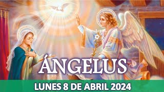 💐EL ÁNGELUS💐LUNES 8 DE ABRIL 2024💐REZAR PARA GANAR INDULGENCIAS💐 [upl. by Frentz683]