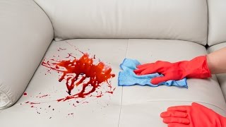 How To Remove a Stain from a Sofa [upl. by Julie]