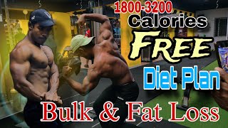 Free Diet Plan for Bulk or Cut [upl. by Bloem]