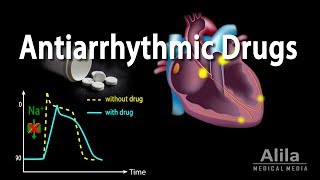 Antiarrhythmic Drugs Animation [upl. by Ccasi]