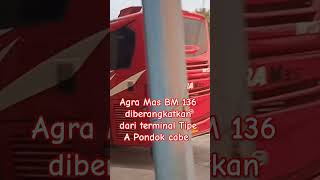 Agra Mas BM 136 busmania agramas [upl. by Norat588]