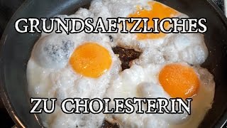 Übersicht Cholesterin Was bedeuten die Cholesterinwerte LDL amp HDL Und wie Cholesterin senken [upl. by Birkett44]