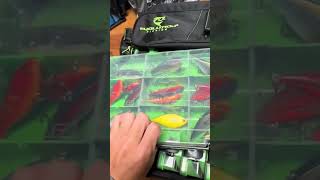 This is the best fishing backpack for pond fishing fishing fish bassfishing pond unexpected [upl. by Mart177]