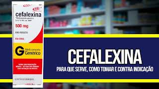 CEFALEXINA ✅COMO TOMAR  Para que serve Contra Indicações e Riscos [upl. by Ellinger]