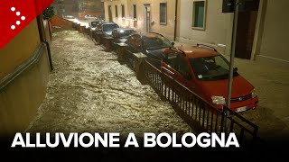 Alluvione a Bologna esonda il fiume Ravone la città inondata [upl. by Karine302]