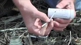 Testing Soil Phosphate [upl. by Rasla]