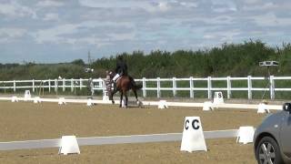 British Dressage Novice 23 2012 [upl. by Arela]