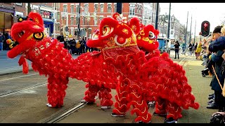 Chinees Nieuwjaar Rotterdam 2020 [upl. by Tinya804]