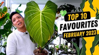 Top 10 Favourite Plants 💚 February 2023 🤩 Philodendron Anthurium Hoya Monstera [upl. by Einhorn]