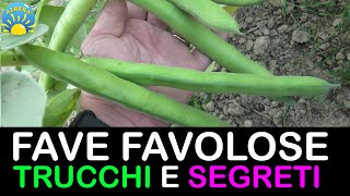 FAVE FAVOLOSE TUTORIAL TRUCCHI SEGRETI E CONSIGLI PRATICI NELL ORTO [upl. by Lezah]