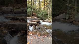 Shades of Death Trail Hickory Run State Park [upl. by Odlanyar]