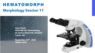 Morphology Session 11 [upl. by Browne]