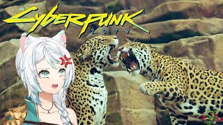 Beast vs beast BATCAT vs Placide  Cyberpunk 2077  Part 15  Asveeti 🦁 [upl. by Trefler783]