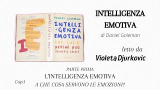 Cap1 INTELLIGENZA EMOTIVA di Daniel Goleman  audiolibro  libro letto ad alta voce [upl. by Stalk311]