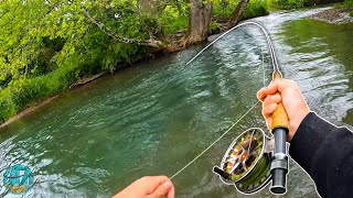 STREAMER FLY FISHING FOR GIANT BROWNS  Best Day of Trout Fishing [upl. by Haidebez]