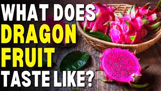 What Does Dragon Fruit Taste Like  What Is A Dragon Fruit [upl. by Oicaroh]