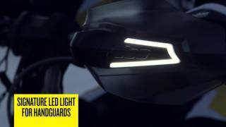 SkiDoo LED Lighting Accessories [upl. by Nylaehs]