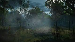 The Witcher 3 ASMRSleep Aid Arnskrone Forest  Ambient Sounds [upl. by Adamsun]