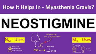 Pharmacology  Neostigmine  Myasthenia Gravis  5 Uses and Side Effects [upl. by Kiryt41]