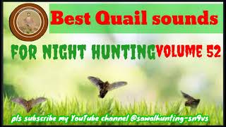 Best quail sound batairkashikar birdsounds [upl. by Ynar]