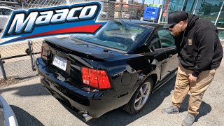 NO WAY Maaco Painted his Mustang MACH1 for 1000 AND [upl. by Rednasela]