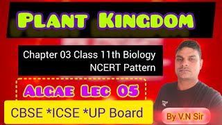 Class 11th Biology Lec 19 ll Chlorophyceae Pheophyceae and Rodophyceae ll V N Singh [upl. by Adnuhsar57]