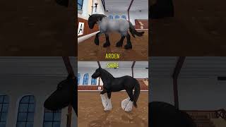 Shire i arden porównanie shorrts horse sso starstableonline horses [upl. by Rinna]