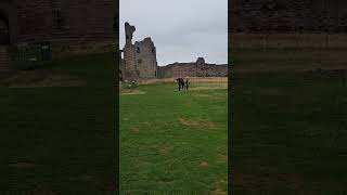 Dunstanburgh Castle 😍 castle northumberland craster [upl. by Winebaum789]