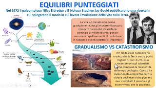 LE CATASTROFI ACCELLERANO LEVOLUZIONE [upl. by Goldsworthy]