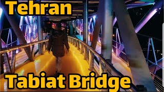 Tabiat Bridge Tehran tour vlog Iran 2023 [upl. by Ainerol557]