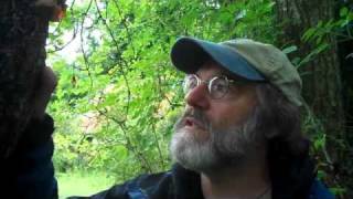 quotPaul Stamets talks about Auricularia Wood Ear or Moer Mushrooms in Edinburgh scotland [upl. by Nednarb95]