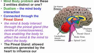 Descartes and James  Consciousness theories [upl. by Eirrol873]