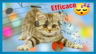 musica rilassante per dormire gatti 🐱 molto efficace 💤 Musica progettata per gatti 2020 ZONARELAX [upl. by Gabriel]