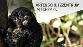 Zoo Krefeld Pläne für neues Artenschutzzentrum Affenpark [upl. by Randene]