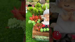 Good idea design planting succulents in pot so beautiful indoorgardening nature diy shorts [upl. by Liauqram]