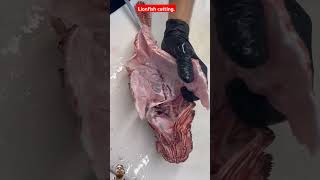 Lionfish cutting ✂️ seafood butterflyfish fish lionfish food fishing streetfood [upl. by Obellia]