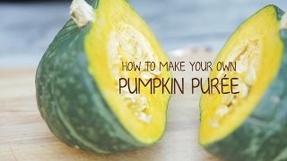 How TosDay How to Make Your Own Pumpkin Purée [upl. by Enelear855]