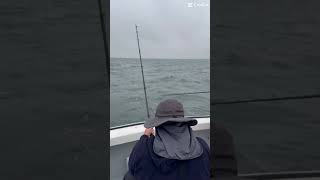 Striped bass fishing edit [upl. by Ronnoc484]