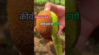 Kiwi fruit khane ka fayda 👍 shorts ytshots animation [upl. by Adelia]